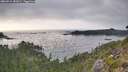 ./images/calvert/foggy-cove/20260916/foggy-cove20260916_182001M.jpg