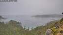 ./images/calvert/foggy-cove/20260917/foggy-cove20260917_074001M.jpg
