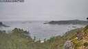 ./images/calvert/foggy-cove/20260917/foggy-cove20260917_075001M.jpg