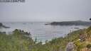 ./images/calvert/foggy-cove/20260917/foggy-cove20260917_083001M.jpg