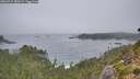 ./images/calvert/foggy-cove/20260917/foggy-cove20260917_083501M.jpg
