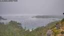 ./images/calvert/foggy-cove/20260917/foggy-cove20260917_090501M.jpg
