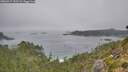 ./images/calvert/foggy-cove/20260917/foggy-cove20260917_102502M.jpg