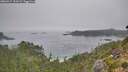 ./images/calvert/foggy-cove/20260917/foggy-cove20260917_103501M.jpg