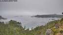 ./images/calvert/foggy-cove/20260917/foggy-cove20260917_104501M.jpg