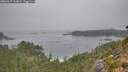 ./images/calvert/foggy-cove/20260917/foggy-cove20260917_113001M.jpg