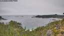 ./images/calvert/foggy-cove/20260917/foggy-cove20260917_122001M.jpg