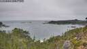 ./images/calvert/foggy-cove/20260917/foggy-cove20260917_124001M.jpg