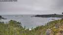 ./images/calvert/foggy-cove/20260917/foggy-cove20260917_124501M.jpg