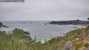 ./images/calvert/foggy-cove/20260917/foggy-cove20260917_125501M.jpg