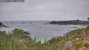 ./images/calvert/foggy-cove/20260917/foggy-cove20260917_131001M.jpg