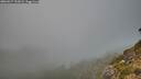 ./images/calvert/foggy-cove/20260917/foggy-cove20260917_191002M.jpg