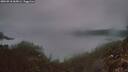 ./images/calvert/foggy-cove/20260918/foggy-cove20260918_065001M.jpg