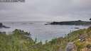 ./images/calvert/foggy-cove/20260918/foggy-cove20260918_082001M.jpg