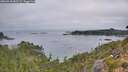 ./images/calvert/foggy-cove/20260918/foggy-cove20260918_082501M.jpg