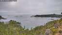 ./images/calvert/foggy-cove/20260918/foggy-cove20260918_085001M.jpg