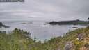 ./images/calvert/foggy-cove/20260918/foggy-cove20260918_090501M.jpg
