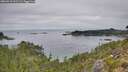 ./images/calvert/foggy-cove/20260918/foggy-cove20260918_101501M.jpg