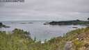 ./images/calvert/foggy-cove/20260918/foggy-cove20260918_102001M.jpg