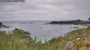 ./images/calvert/foggy-cove/20260918/foggy-cove20260918_113001M.jpg
