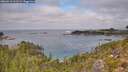 ./images/calvert/foggy-cove/20260918/foggy-cove20260918_121502M.jpg
