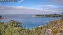 ./images/calvert/foggy-cove/20260918/foggy-cove20260918_124501M.jpg