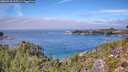 ./images/calvert/foggy-cove/20260918/foggy-cove20260918_125501M.jpg