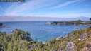 ./images/calvert/foggy-cove/20260918/foggy-cove20260918_133001M.jpg