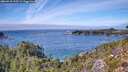 ./images/calvert/foggy-cove/20260918/foggy-cove20260918_135501M.jpg