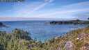 ./images/calvert/foggy-cove/20260918/foggy-cove20260918_143501M.jpg