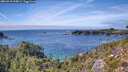 ./images/calvert/foggy-cove/20260918/foggy-cove20260918_144001M.jpg