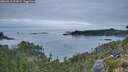 ./images/calvert/foggy-cove/20260919/foggy-cove20260919_072001M.jpg