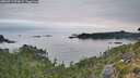 ./images/calvert/foggy-cove/20260919/foggy-cove20260919_073001M.jpg