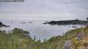 ./images/calvert/foggy-cove/20260919/foggy-cove20260919_084001M.jpg