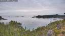./images/calvert/foggy-cove/20260919/foggy-cove20260919_085001M.jpg