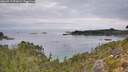 ./images/calvert/foggy-cove/20260919/foggy-cove20260919_092001M.jpg