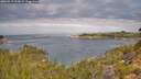 ./images/calvert/foggy-cove/20260919/foggy-cove20260919_102001M.jpg