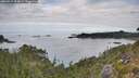 ./images/calvert/foggy-cove/20260919/foggy-cove20260919_104001M.jpg