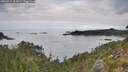 ./images/calvert/foggy-cove/20260919/foggy-cove20260919_104501M.jpg