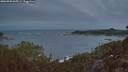 ./images/calvert/foggy-cove/20260920/foggy-cove20260920_065502M.jpg