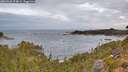 ./images/calvert/foggy-cove/20260920/foggy-cove20260920_074001M.jpg