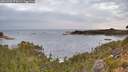 ./images/calvert/foggy-cove/20260920/foggy-cove20260920_074501M.jpg