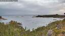 ./images/calvert/foggy-cove/20260920/foggy-cove20260920_075002M.jpg