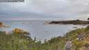 ./images/calvert/foggy-cove/20260920/foggy-cove20260920_075501M.jpg