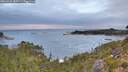./images/calvert/foggy-cove/20260920/foggy-cove20260920_080501M.jpg