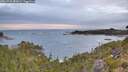 ./images/calvert/foggy-cove/20260920/foggy-cove20260920_081001M.jpg