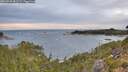 ./images/calvert/foggy-cove/20260920/foggy-cove20260920_081502M.jpg