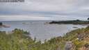 ./images/calvert/foggy-cove/20260920/foggy-cove20260920_082501M.jpg