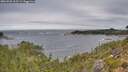 ./images/calvert/foggy-cove/20260920/foggy-cove20260920_103501M.jpg