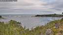 ./images/calvert/foggy-cove/20260920/foggy-cove20260920_110501M.jpg